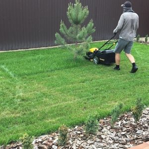 Стрижка газона