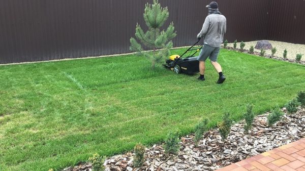 Стрижка газона